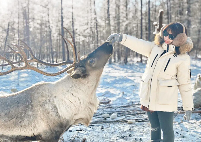 Reindeer Park in Mohe Arctic Village 