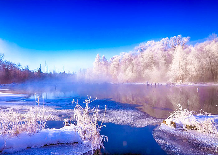 The enchanting rime frost phenomenon in Mojie Scenic Area