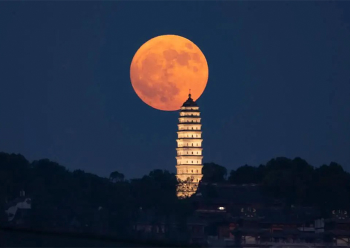 Moon Festival