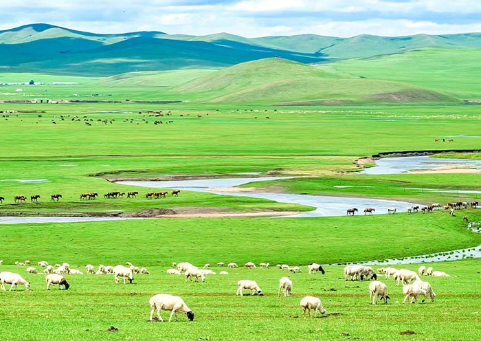 Inner Mongolia Tours from Singapore 