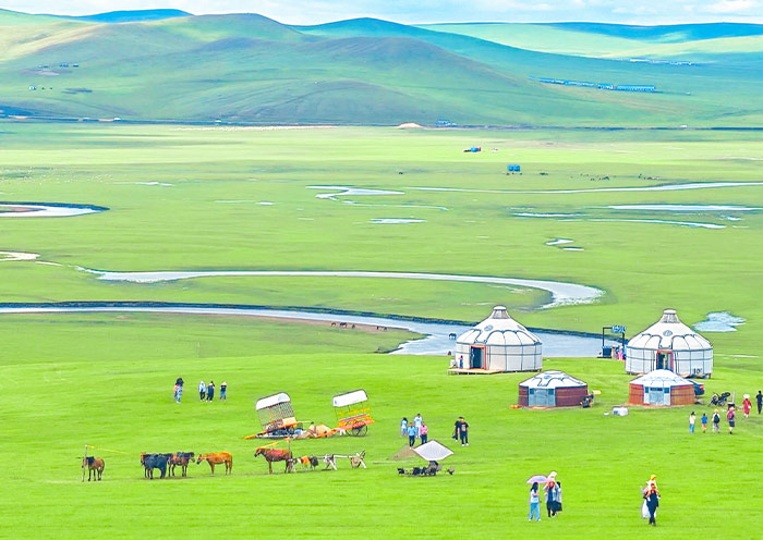Inner Mongolia Grassland Tours 