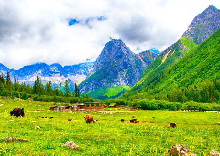 Take sightseeing bus to travel through Shuangqiao Valley