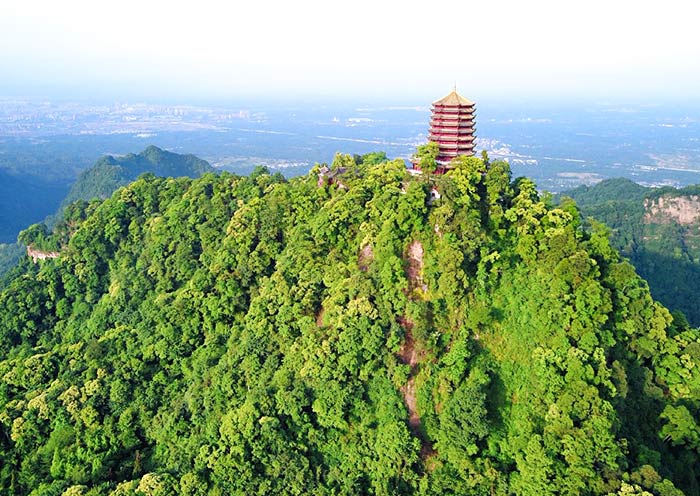 Panoramic View of Mount Qingcheng in Summer