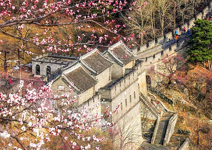 4 Days Beijing Tour from Tianjin Cruise Port