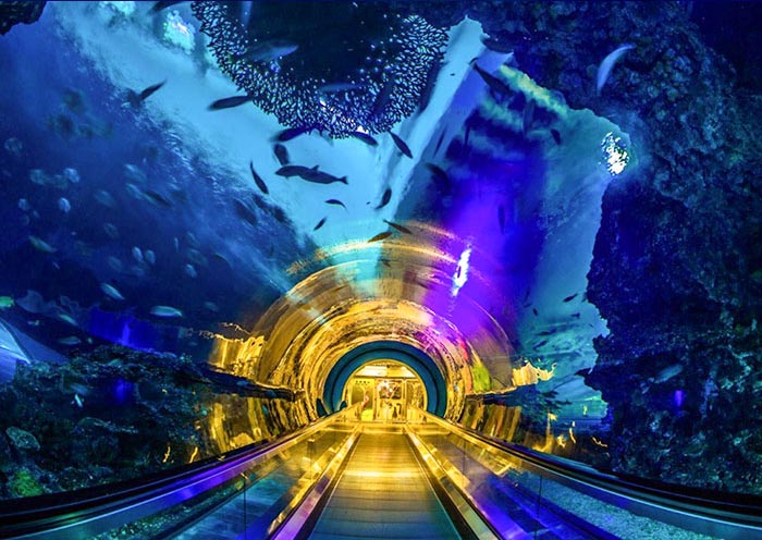 National Museum of Marine Biology & Aquarium, Kenting