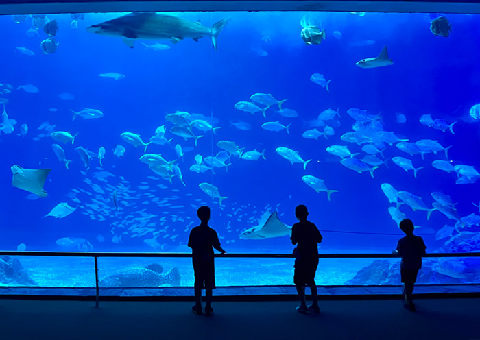 National Museum of Marine Biology & Aquarium, Kenting