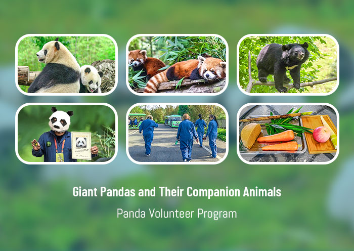 12 popular China Family & Kids Friendly Activities