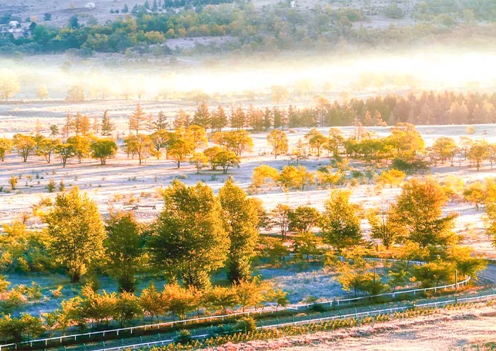 Qiansongba National Forest Park 