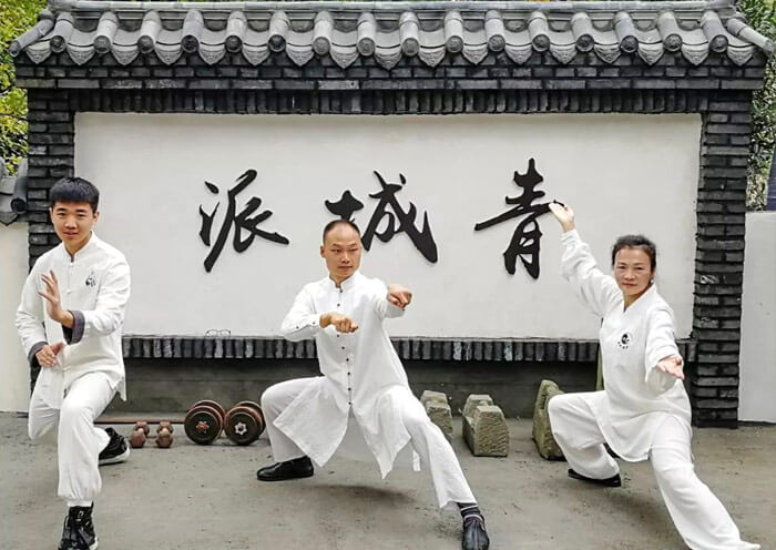 Kung Fu Masters, Qingcheng Tai Chi