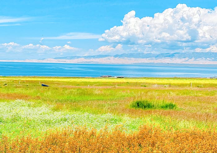 Grasslands and Meadows around Qinghai Lake