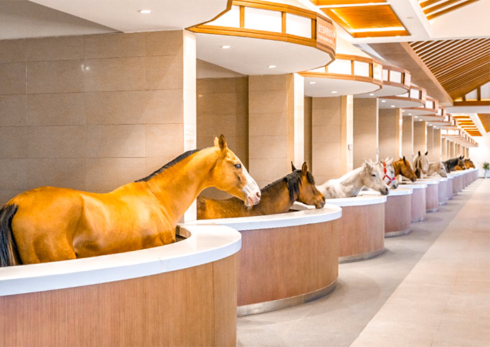 China Horse Town Resort Royal Stable