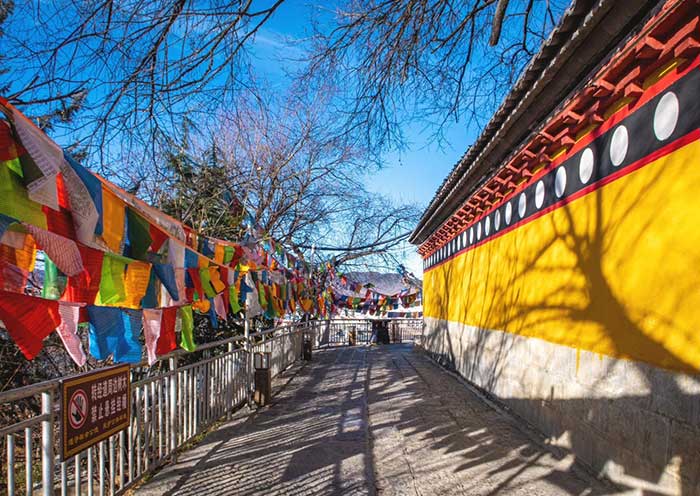 Explore Dukezong Ancient Town & Guishan Hill