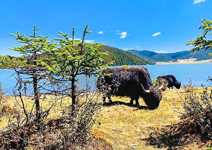 Pudacuo National Park, Shangri-La