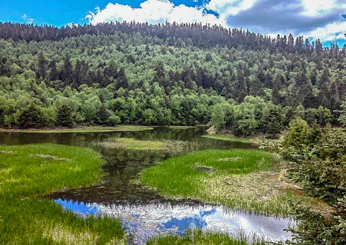 First national park in China - Pudacuo National Park
