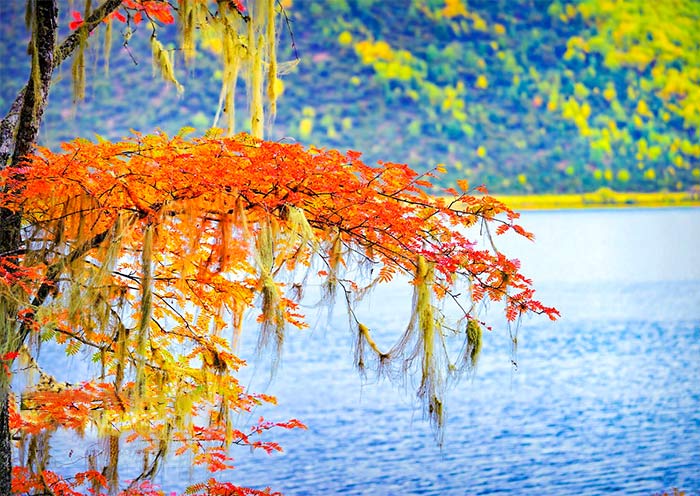 Pudacuo National Park, Shangri-La