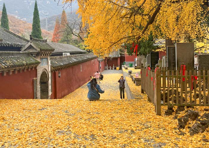 Visit Shaolin Temple in Autumn