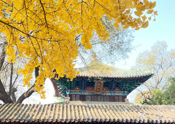 Shaolin Temple Autumn View