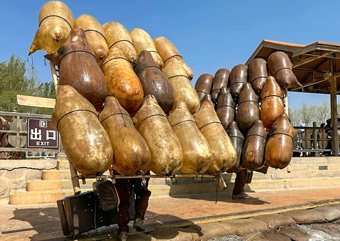 Shapotou Scenic Area, Zhongwei