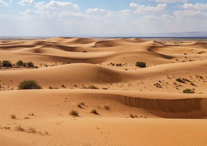 Shapotou Scenic Area, Zhongwei