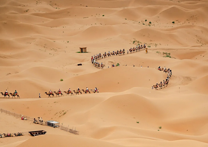 Shapotou Scenic Area, Zhongwei