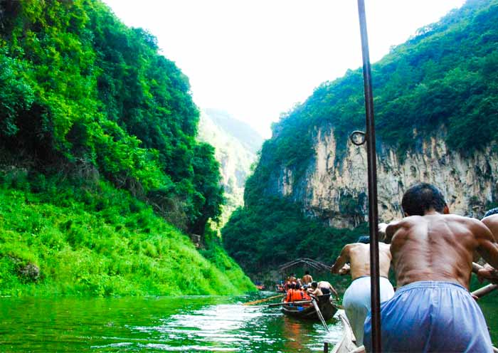 Shennong Stream