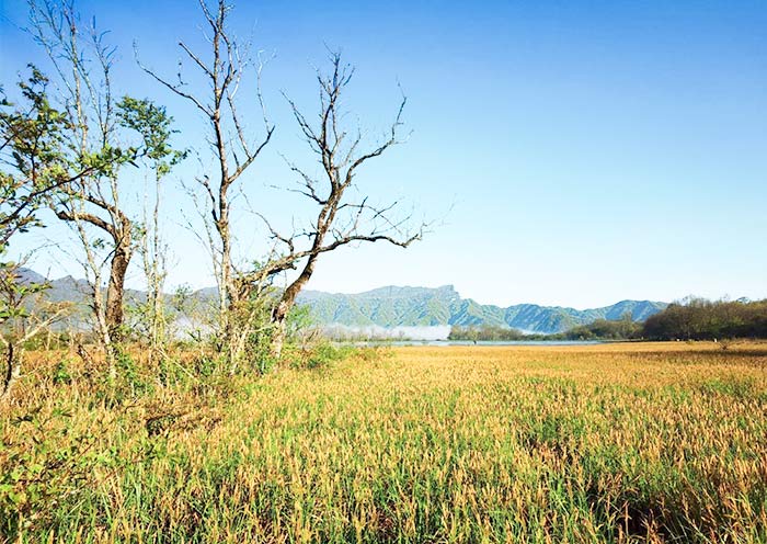 Shennongjia, Hubei Shennongjia, Hubei