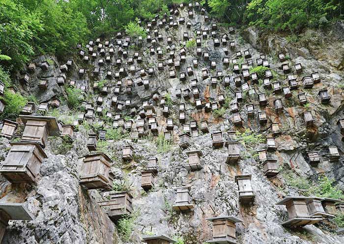 Shennongjia Guanmenshan