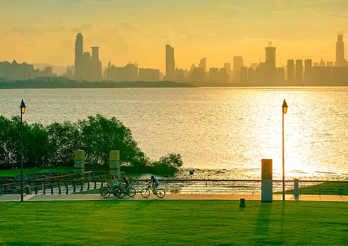 Enjoy Sunrise of Shenzhen Bay Park