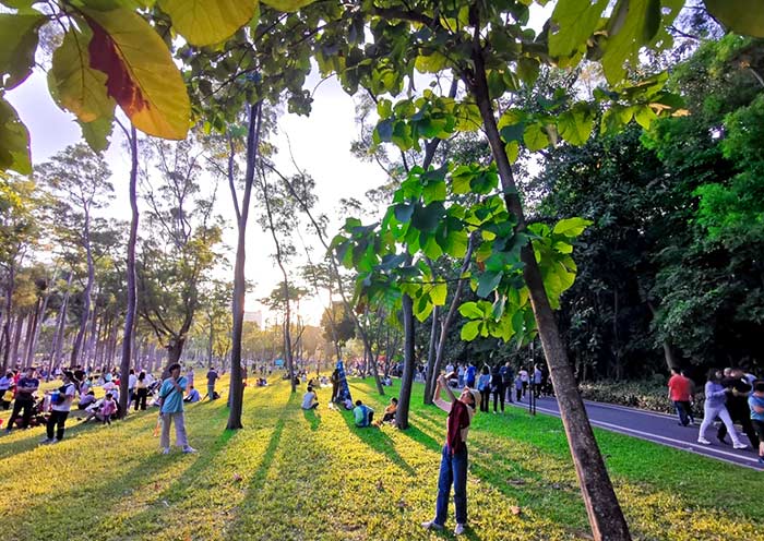 Shenzhen Lianhuashan Park