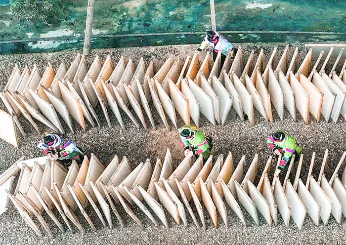 Papermaking in Shiqiao Miao Village