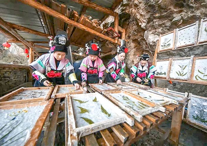 Unique Papermaking in Shiqiao Miao Village