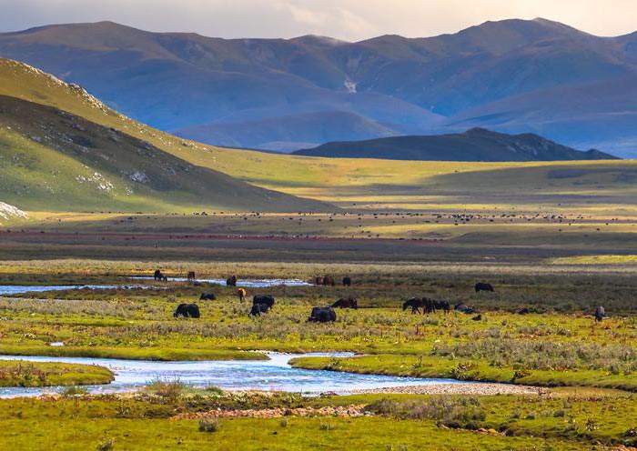 Maoya Grassland, Sichuan Maoya Grassland, Sichuan