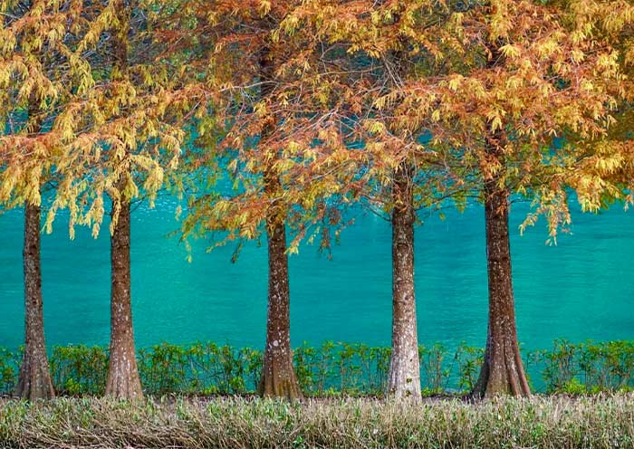 Scenic Lakeside Trail of Sun Moon Lake