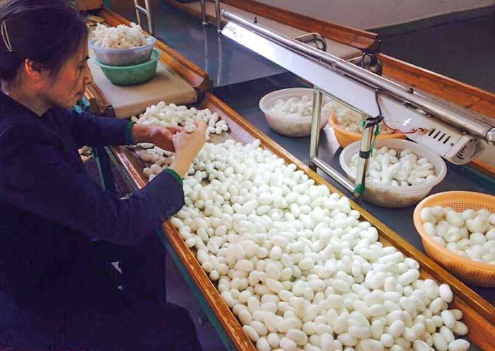 Suzhou No.1 Silk Factory