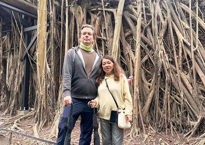 Anping Tree House