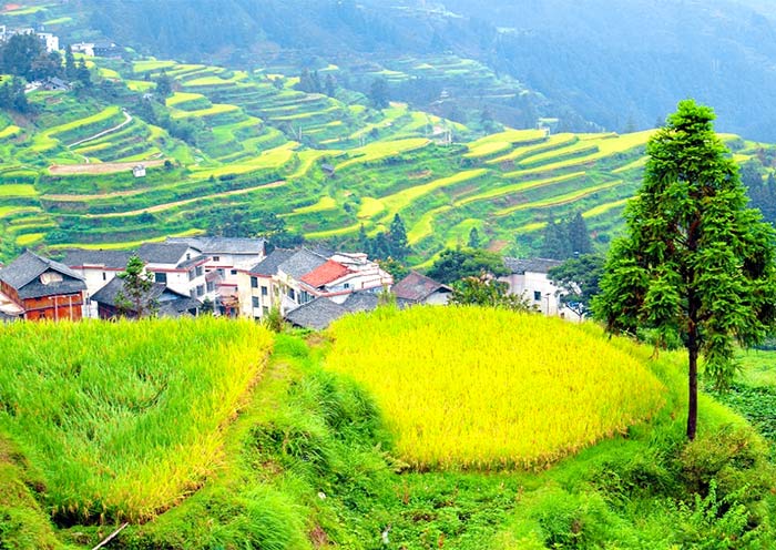 Tangan Dong Village