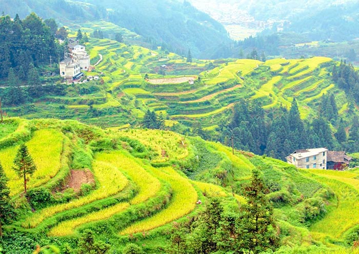 Tangan Dong Village