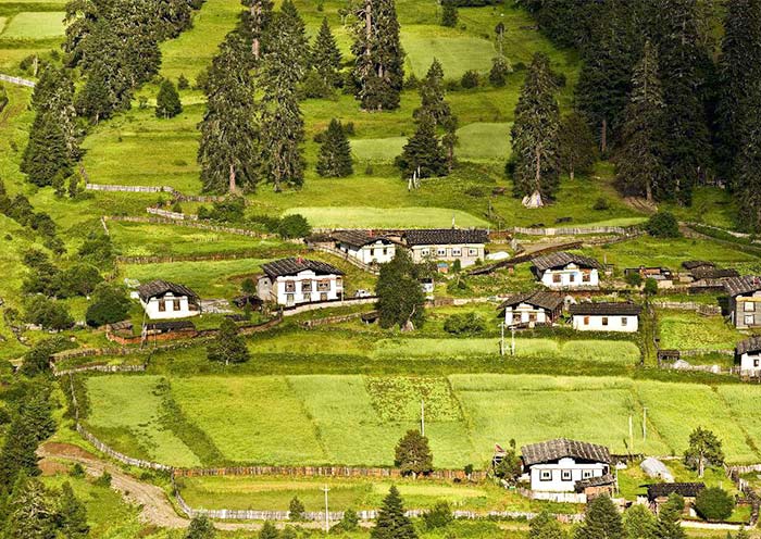 Tashi Gang Villag Tashi Gang Villag