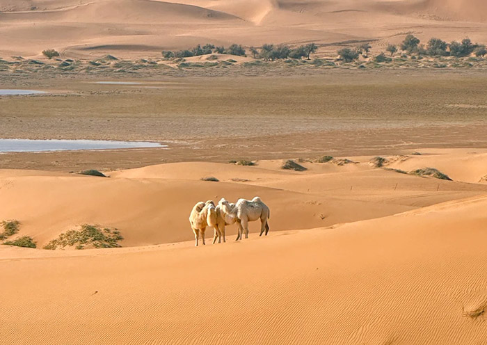 Tengger Desert for Colorful Lakes