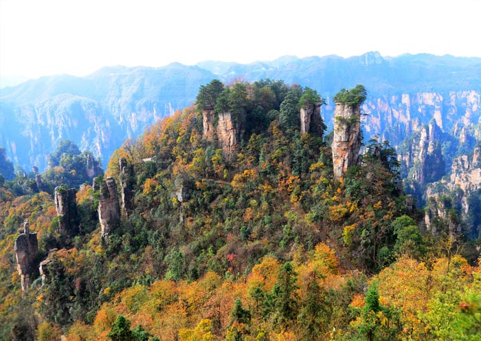 Tianzi Mountain of Zhangjiajie National Forest Park in Autumn