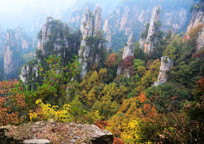 Tianzi Mountain of Zhangjiajie National Forest Park in Autumn