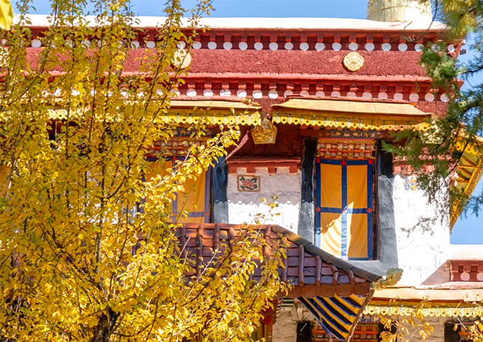 Tibet Autumn
