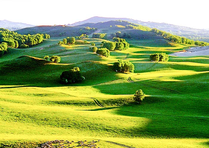 Ulan Butong Grassland