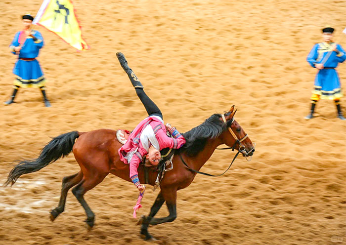 The legendary Hero Equestrian Performance