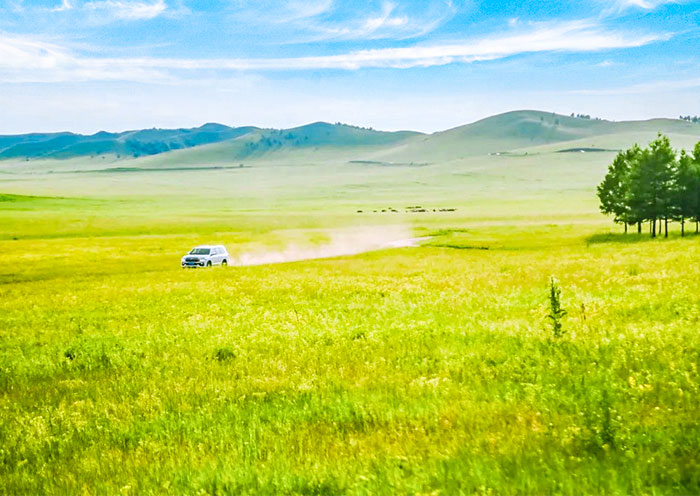 Ulan Butong Grassland Sarifi
