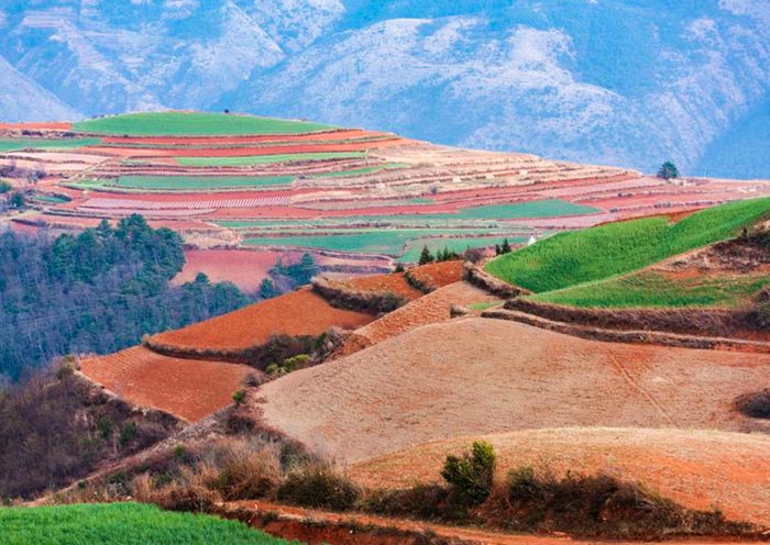 Colorful Dongchuan Red Land