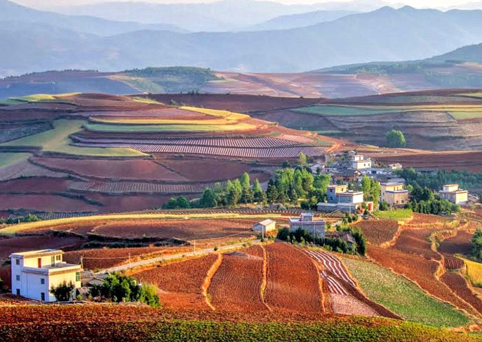 Wafang Liangzi, Dongchuan Red Land