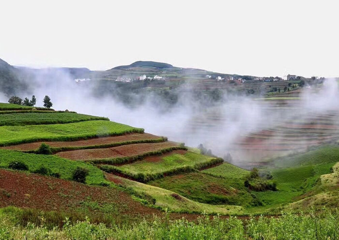 Dongchuan Red Land in the morning mist