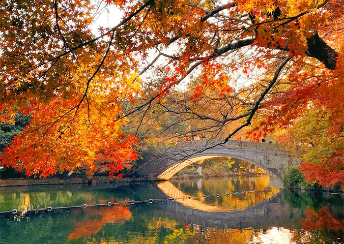 West Lake in Autumn