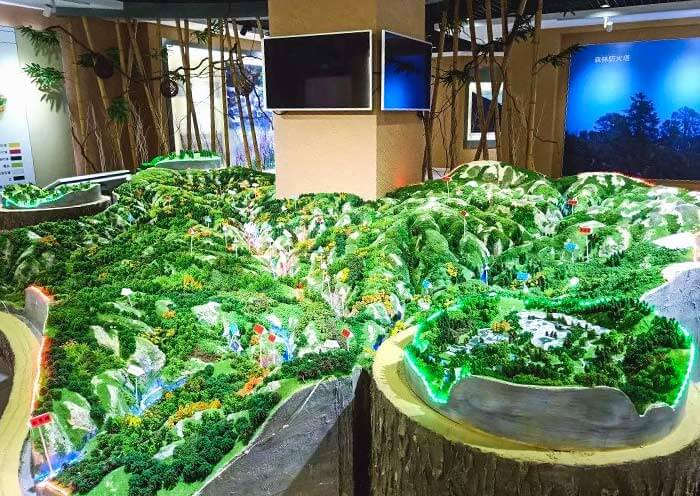 Wolong Giant Panda Museum